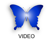 Blue Butterfly Media Film Portfolio
